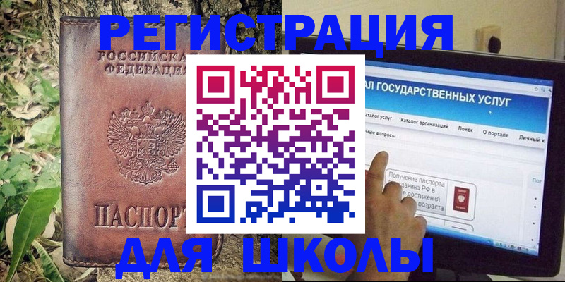 прописка для школы в Амурской области